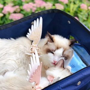 小型中型犬猫用Puレザーリードウィングドッグカラー調節可能な犬のリーシュハーネス - Product Image 5