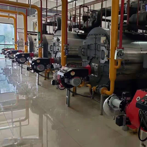 चीन निर्माता प्राकृतिक गैस lpg मीथेन cng गैस ईंधन गर्म पानी बॉयलर गर्म पानी बॉयलर गर्म पानी हीटिंग उपकरण - Product Image 3