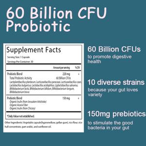 Suplemento Probiótico de 60 Mil Millones de UFC con 10 Cepas, Prebióticos Orgánicos para la Salud Inmunológica, Digestiva e Intestinal, para Mujeres y Hombres - Product Image 2