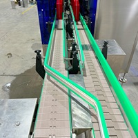 Ligne de production de machines de remplissage automatiques de détergent liquide pour vaisselle, nettoyant pour les mains, à piston servo