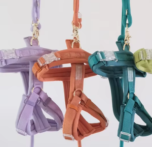 <span class=keywords><strong>2026</strong></span> डिजाइनर पालतू परिधान एक्सेसरीज थोक ठोस चमड़े के कुत्ते का उपयोग करते हुए पट्टे सेट ब्रेअवे कॉलर के लिए - Product Image 5