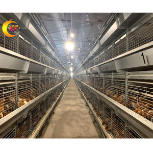 Tedarikçi doğrudan satış Pullet yetiştiriciliği katmanlı yumurta tavuk kafesi Brooder kafes bebek döşeme tavuk tavuk için - Product Image 1