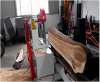 Machine à couper le bois multifonctionnelle portable à double lame, scierie pour bois de teck