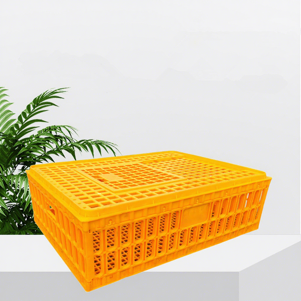 食品 ひよこさん専用、8キロ箱込み、