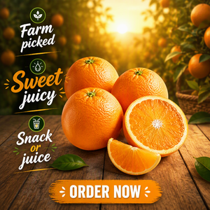 Naranjas <span class=keywords><strong>Valencia</strong></span> Frescas al por Mayor para Jugos, Cajas a Granel para Exportación, Grado Premium, Directamente del Proveedor Chino, Alto Rendimiento - Product Image 5