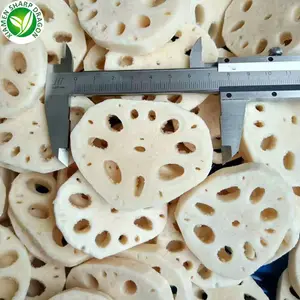 Factory processed frozen lotus root wholesale custom packaging at preferential prices