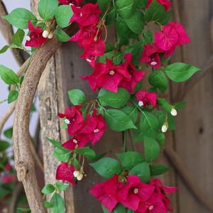 Vignes artificielles de bougainvillier Qingxu, fleurs en soie longue durée pour la décoration des hôtels, des vitrines, l'aménagement paysager et la couverture de tuyaux - Product Image 3
