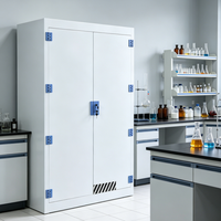 Armoire de stockage de produits chimiques dangereux en acier de style industriel moderne, armoire de sécurité ignifuge pour usage scolaire, inflammable, toxique