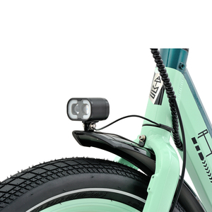 Bicicleta Eléctrica Urbana Económica de 24 Pulgadas, 250W, Batería de Litio de 15AH, Motor sin Escobillas, con Asistencia al Pedaleo, Pundarika, Precio Económico - Product Image 2