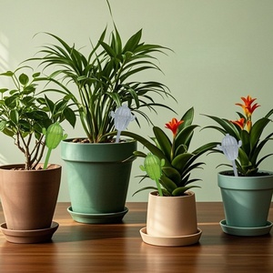 Nuevo Producto al por Mayor: Regadera de Goteo para Cactus, Riego por Penetración, Herramienta Automática de Jardinería para Plantas Verdes del Hogar - Product Image 5