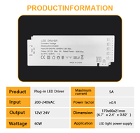 Vente en gros Plug in Dupont Port Tension constante 12V 24V 15W 24W 36W 60W 100W Transformateur d'alimentation de pilote de LED pour lumière LED