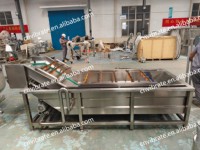 VBJX RVS Sus304 Vortex Groentewasmachine Multifunctionele Commerciële Fruitwasser Reiniger met Ozon
