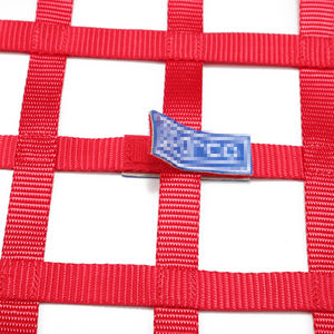 차 주문 로고 차양 안전 빨간 파란 나일론 경주용 차 Sfi 승인되는 창 그물 - Product Image 6