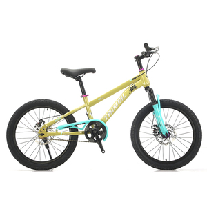 Fourche avant personnalisable à absorption des chocs pour <span class=keywords><strong>VTT</strong></span> enfant (garçon/fille) à vitesse unique en acier haute teneur en carbone pour la conduite en extérieur - Product Image 2