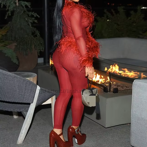 New Women's Solid Color <b>Mesh</b> Fur Long Sleeve Top & Skinny <b>Pants</b> 2-Piece Set Fashion - Product Image 3