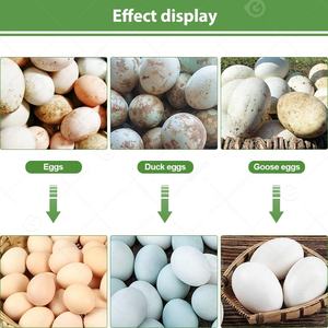 3000は家庭での使用を継続ミニ兼オイラー商用クリーンウォッシャーエッグウォッシュマシンクリーナーオイルスプレー付き - Product Image 6