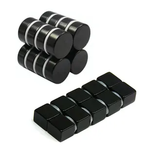 Black Epoxy Coated Neodymium Magnets With Various Shape Round Block Ring