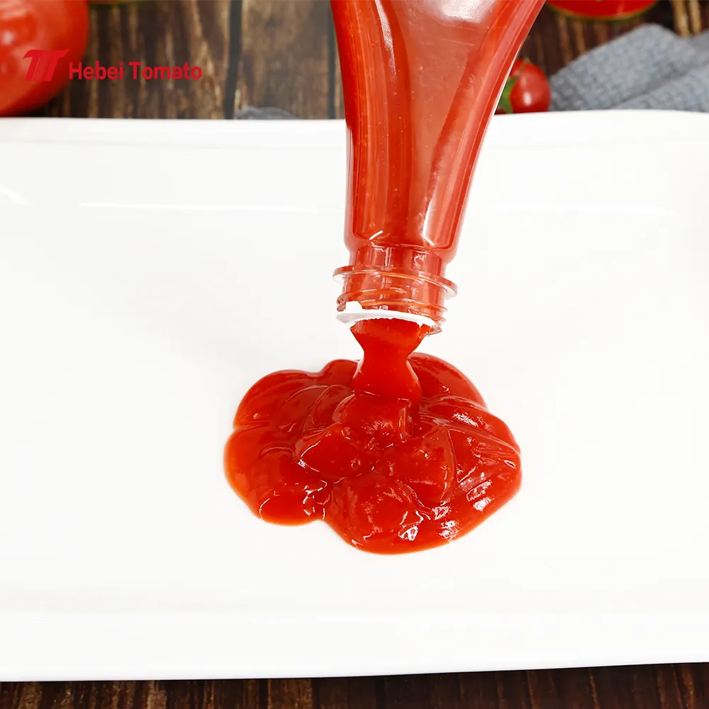 340g Prix pas cher Fabricant chinois Délicieux ketchup aux tomates