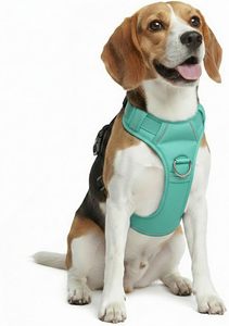 Harnais de chien rembourré doux, réglable, respirant, imperméable, en PVC et silicone, résistant, tactique, avec logo personnalisé - Product Image 6