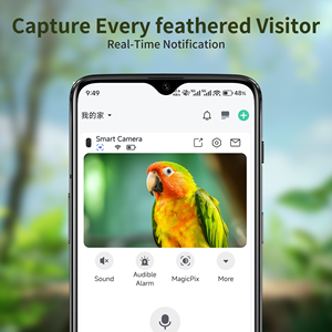 Nouvel mangeoire à colibris intelligente avec caméra, alimentée à l'énergie solaire, à suspendre en extérieur, parfaite pour la décoration de la maison et du jardin - Product Image 6
