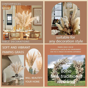 40 "pulgadas <span class=keywords><strong>10</strong></span> tallos Natural Pampas Grass <span class=keywords><strong>Decor</strong></span> Tall Pompas Grass, Tall Pampas Grass para boda, fiesta, granja, Boho Home <span class=keywords><strong>Decor</strong></span> - Product Image 6