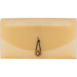 Shidai Liangpin PP Document Bag 13 Grids Translucent Plastic File Folder with Logo Storage Organizer - Product Image 1