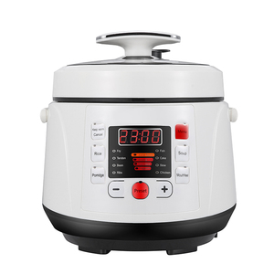 أعلى مرتبة 1.6L طباخ كهربائي صغير محمول صلب مقاوم للصدأ بخار صغير مقشر متعدد الوظائف الأجهزة المنزلية الفرنسية - Product Image 2