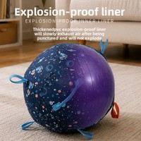 Ballon de jeu pour chien en tissu à motif spatial, faible MOQ, balle interactive à tirer avec bandes antidérapantes, jouet d'extérieur pour chien pour libérer l'énergie, OEM