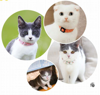 Collier durable pour animaux de compagnie Colliers réglables en cuir PU Cloches Produits pour chiens pour animaux de compagnie Accessoires pour chiens