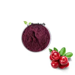 Nhà cung cấp Trung Quốc cung cấp 25% anthocyanidin Bilberry chiết xuất