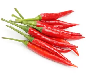 Vente en gros de piment séché rouge aux herbes et épices naturelles-100% piment séché aux épices simples biologiques de Mongolie intérieure