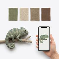 Peluche personnalisée Caméléon à peau texturée écailleuse, queue en spirale, grimpant sur une branche, reptile, mascotte personnalisée