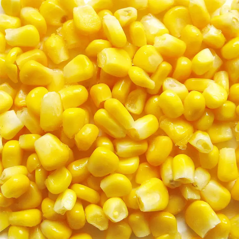빠른 냉동 삶은 옥수수 좋은 맛 노란색 컬러 냉동 옥수수 전체 IQF 냉동 옥수수 달콤한 노란색 옥수수