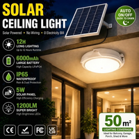 Plafonnier solaire LED extérieur étanche avec télécommande pour garage, balcon, abri de jardin, patio - Échantillon gratuit OEM/ODM