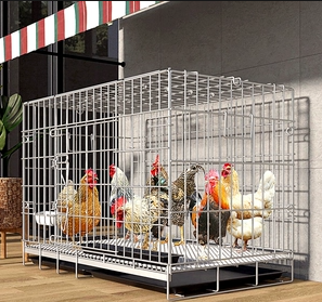 กรงไก่พร้อมถาดไข่และที่ให้อาหาร รูสี่เหลี่ยมเชื่อมติดกัน ทำจากลวดตาข่ายเหล็กกล้าคาร์บอนต่ำชุบสังกะสีสำหรับรั้ว - Product Image 3