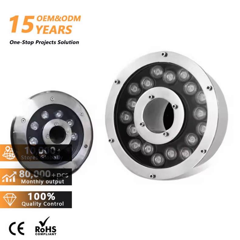 Color Change RGB RGBW DMX Lighting 6W 12W 15W 18W Underwater LED Fountain Light for Pool