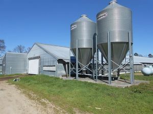 Prefab giá rẻ thiết kế mới ánh sáng Kết Cấu Thép gia cầm nhà trang trại xây dựng để bán - Product Image 3