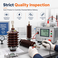 Isolateur de transformateur haute tension en résine époxy pour transformateur de distribution, appareillage de commutation, équipement électrique