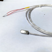 Sensor de Temperatura Industrial de Platino PT100 de Alta Precisión, Sonda Única, Sistema de 3 Cables, IP66, Acero Inoxidable