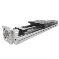 Modul Meja Geser Silang Listrik dengan Rel Pemandu Linear Sumbu Xyz Robot Otomatis Double Slider, Aktuator Linear LY GT150F20 Bearing
