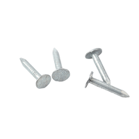 Clou de toiture en acier à tête plate et tige lisse, diamètre 3,0 mm, galvanisé à chaud, pour toiture et linoléum, clou courant OEM