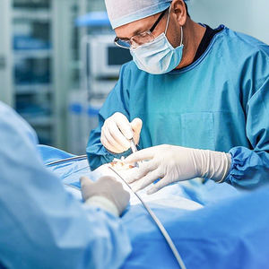 Sarung tangan lateks putih rumah tangga grosir sarung tangan lateks bedah bebas bubuk sarung tangan profesional - Product Image 5