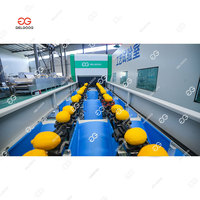 Fruit optische inspectie, citroenkleur sortering, sortering op basis van visuele detectie, oppervlaktecontrole van citroendefecten, sorteermachine