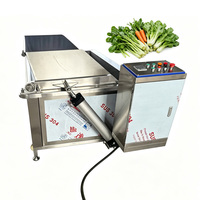 Kleine schaal 150kg/u handmatige afvoer roestvrijstalen motor aardappelchips blancheringsmachine/frietproductielijn