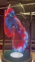 Écran LED flexible transparent adhésif P3.91 pour vitrine de magasin, signalétique publicitaire