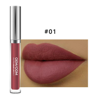 Ensemble de rouge à lèvres liquide minéral mat imperméable hydratant naturel pour femmes, 50G, fabriqué en Chine