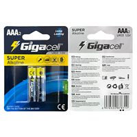 1.5V 2 Baterai Alkalin Triple A Baterai Alkalin AAA Berkinerja Tinggi Baterai Anti Bocor Daya Tahan 5 Tahun
