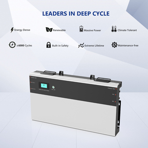 DELONGTOP OEM 6000 Cycli Slimline Lithium Batterij 200ah 230ah RV 12v Reservebatterij - Product Image 5
