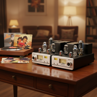 Villa 300B-845 35W Classe a Amplificateur à tubes HIFI fendu haute puissance Qualité sonore Amplificateur à tubes haut de gamme haute fidélité choquant
