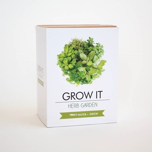 Mini Kit <span class=keywords><strong>de</strong></span> jardín <span class=keywords><strong>de</strong></span> hierbas moderno, maceta <span class=keywords><strong>de</strong></span> <span class=keywords><strong>brotes</strong></span> colgantes para centro comercial, Oficina <span class=keywords><strong>de</strong></span> escritorio y maceta <span class=keywords><strong>de</strong></span> vivero al por mayor - Product Image 2